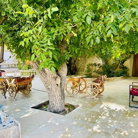 Cappadocia St.nino's Garden
