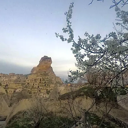 Cappadocia St.nino's Garden